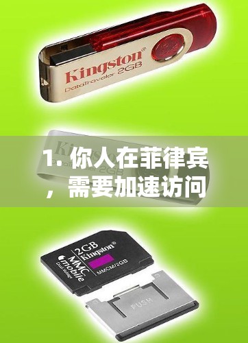 1. 你人在菲律宾，需要加速访问中国或其他地区的网络（例如玩国服游戏、看国内视频）