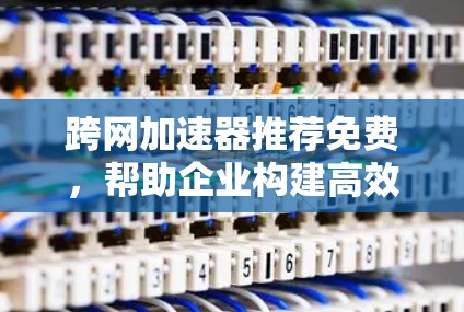 跨网加速器推荐免费，帮助企业构建高效网络基础设施