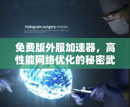 免费版外服加速器,高性能网络优化的秘密武器
