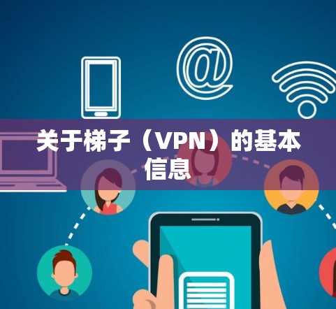 关于梯子(VPN)的基本信息