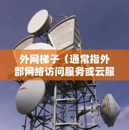 外网梯子(通常指外部网络访问服务或云服务)通常有不同的收费模式,具体费用取决于所选服务类型、使用量以及提供商的定价策略。以下是一些常见的外网梯子及其大致年费范围