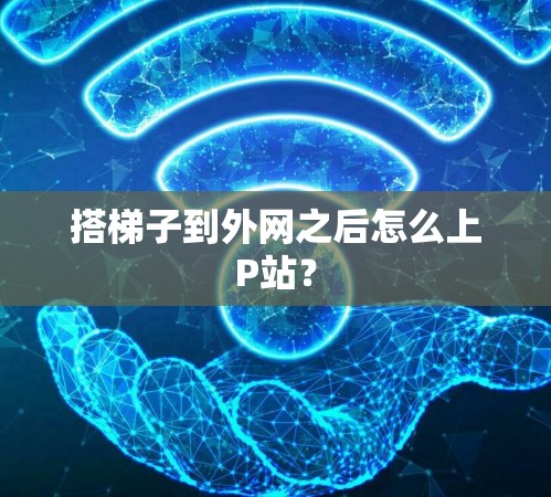 搭梯子到外网之后怎么上P站?