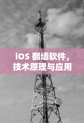 iOS 翻墙软件,技术原理与应用场景分析