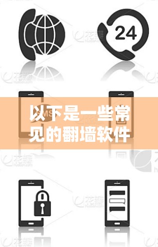 以下是一些常见的翻墙软件或工具的示例