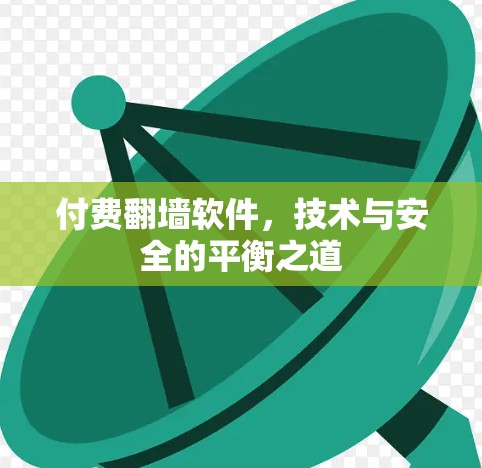 付费翻墙软件,技术与安全的平衡之道