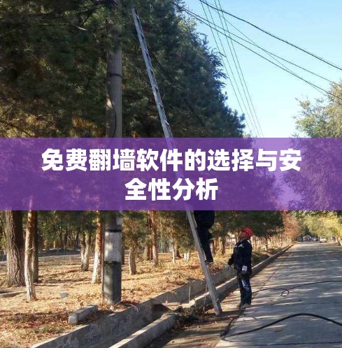 免费翻墙软件的选择与安全性分析