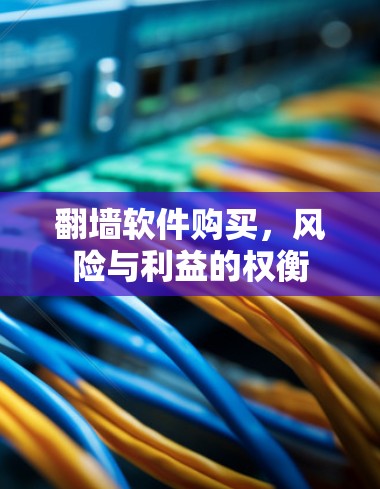 翻墙软件购买,风险与利益的权衡 翻墙软件购买,风险与利益的权衡