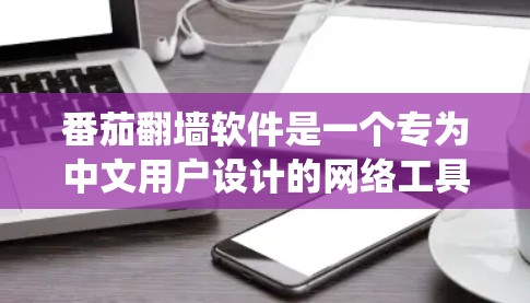 番茄翻墙软件是一个专为中文用户设计的网络工具,旨在帮助用户绕过国内网络防火墙,访问被屏蔽的国际网站。以下是关于番茄翻墙软件的详细介绍