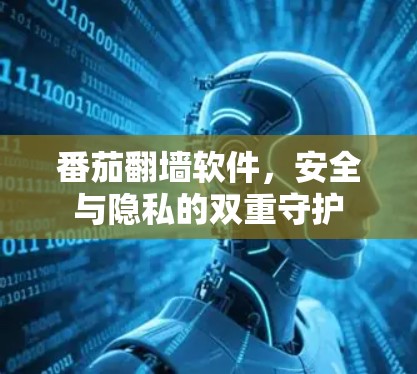 番茄翻墙软件,安全与隐私的双重守护