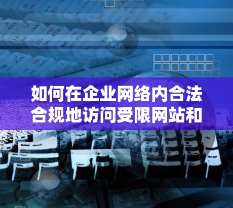如何在企业网络内合法合规地访问受限网站和服务