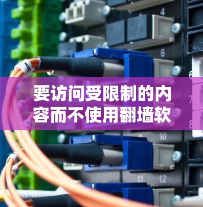 要访问受限制的内容而不使用翻墙软件，可以尝试以下方法