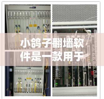 小鸽子翻墙软件是一款用于绕过网络限制和访问被封锁网站的工具。以下是对该软件的详细介绍 小鸽子翻墙软件是一款用于绕过网络限制和访问被封锁网站的工具。以下是对该软件的详细介绍