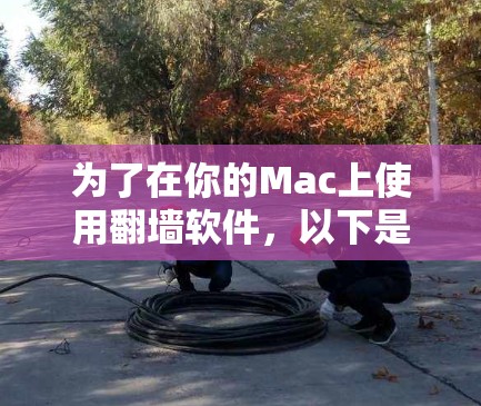 为了在你的Mac上使用翻墙软件,以下是一些有条理的步骤和建议,帮助你轻松配置并安全使用翻墙工具