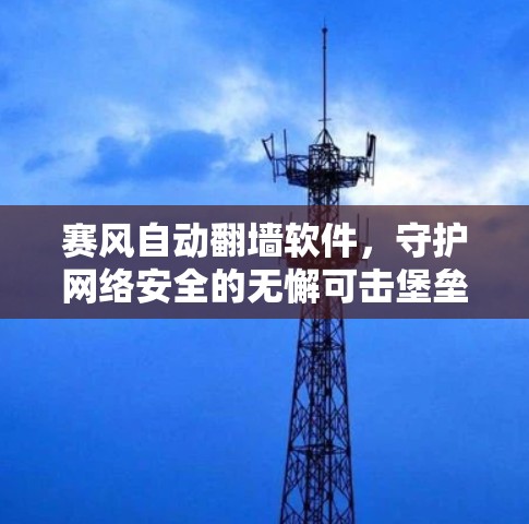 赛风自动翻墙软件,守护网络安全的无懈可击堡垒