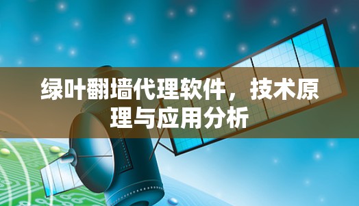 绿叶翻墙代理软件，技术原理与应用分析