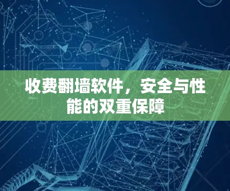 收费翻墙软件,安全与性能的双重保障