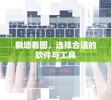 翻墙看图，选择合适的软件与工具