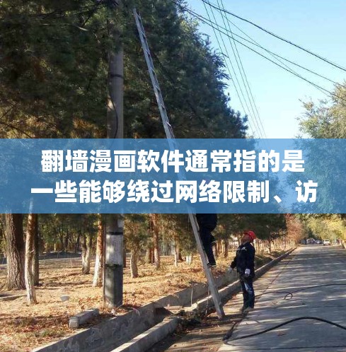 翻墙漫画软件通常指的是一些能够绕过网络限制、访问国外网站或特定资源的漫画阅读软件或平台。以下是一些常见的翻墙漫画软件和工具，供你参考