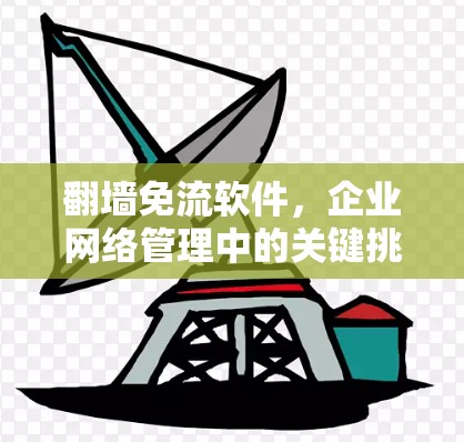 翻墙免流软件，企业网络管理中的关键挑战与解决方案
