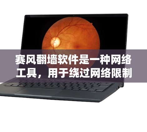 赛风翻墙软件是一种网络工具,用于绕过网络限制,访问被屏蔽或限制访问的网站。以下是使用赛风翻墙软件的基本步骤