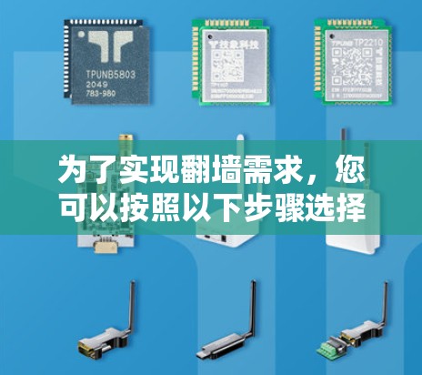 为了实现翻墙需求,您可以按照以下步骤选择并使用适当的工具