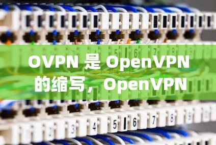 OVPN 是 OpenVPN 的缩写，OpenVPN 是一款开源的 VPN 软件，用于为用户提供安全的互联网连接，保护隐私和防止数据泄露。以下是关于 OVPN 下载的一些信息和指南