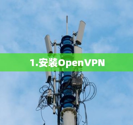 1.安装OpenVPN 1.安装OpenVPN