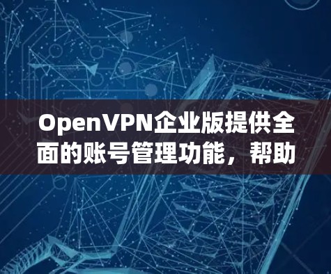 OpenVPN企业版提供全面的账号管理功能，帮助企业有效管理和监控用户访问权限。以下是详细的账号管理方法