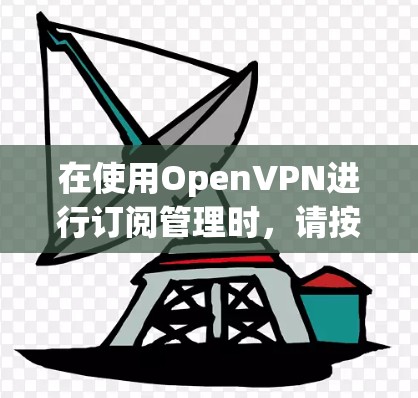 在使用OpenVPN进行订阅管理时,请按照以下步骤进行