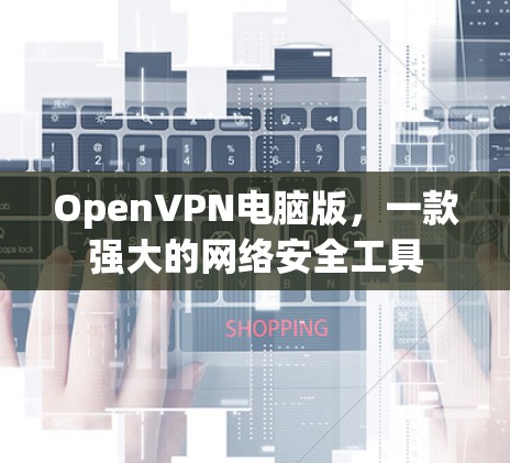 OpenVPN电脑版,一款强大的网络安全工具