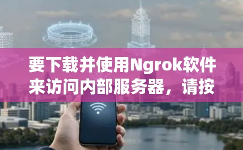 要下载并使用Ngrok软件来访问内部服务器，请按照以下步骤操作