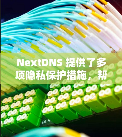 NextDNS 提供了多项隐私保护措施,帮助用户保护其网络活动的隐私。以下是NextDNS 的隐私设置的详细说明