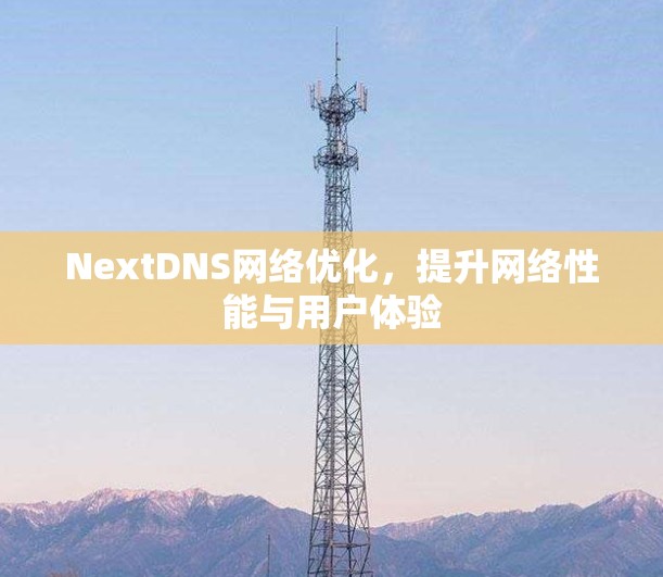 NextDNS网络优化,提升网络性能与用户体验