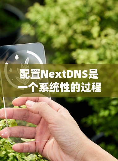配置NextDNS是一个系统性的过程,以下是详细的步骤指南,帮助您顺利完成配置