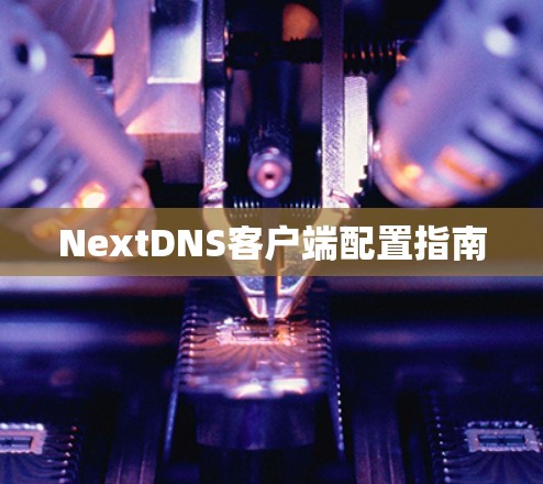 NextDNS客户端配置指南