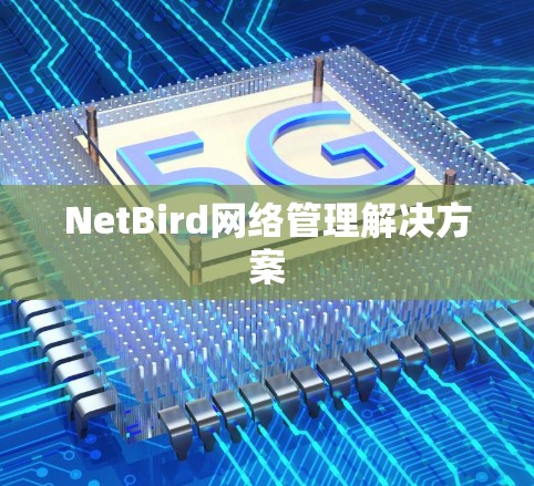 NetBird网络管理解决方案