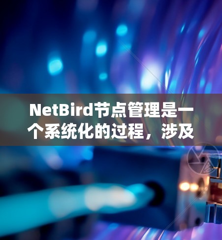 NetBird节点管理是一个系统化的过程,涉及多个步骤和知识点。以下是对NetBird节点管理的总结和建议 NetBird节点管理是一个系统化的过程,涉及多个步骤和知识点。以下是对NetBird节点管理的总结和建议