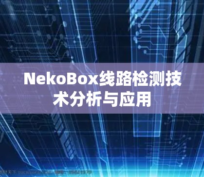 NekoBox线路检测技术分析与应用