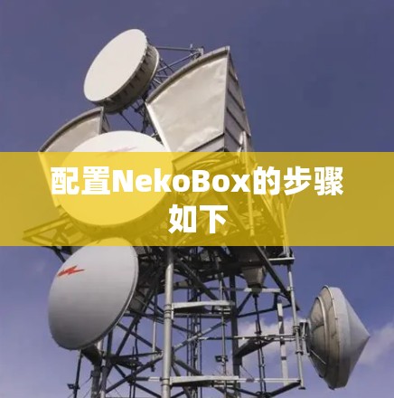 配置NekoBox的步骤如下