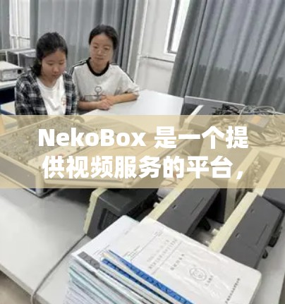 NekoBox 是一个提供视频服务的平台，用户可以通过订阅来享受其服务。以下是关于 NekoBox 订阅设置的详细说明