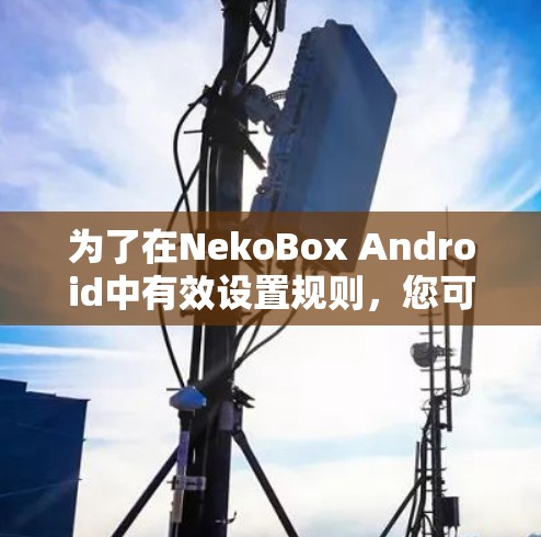 为了在NekoBox Android中有效设置规则，您可以按照以下步骤进行操作