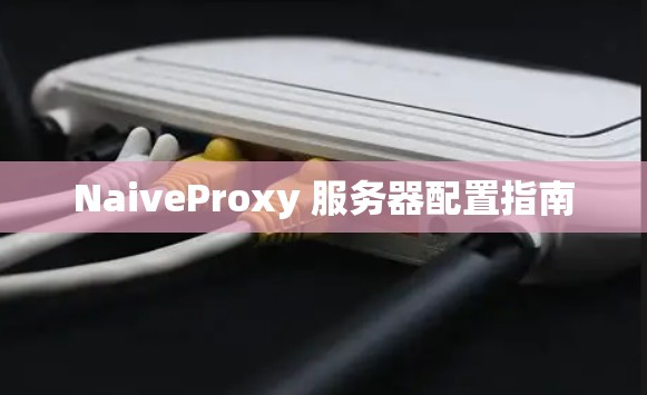 NaiveProxy 服务器配置指南