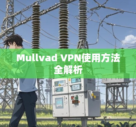 Mullvad VPN使用方法全解析