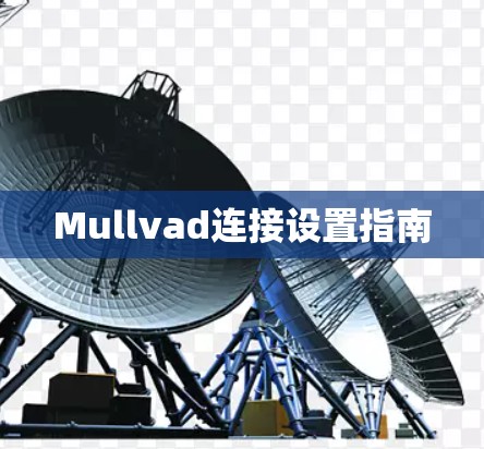 Mullvad连接设置指南