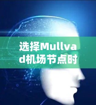 选择Mullvad机场节点时,可以按照以下步骤进行 选择Mullvad机场节点时,可以按照以下步骤进行