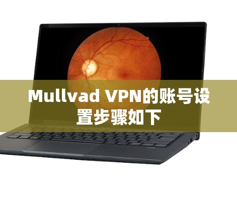 Mullvad VPN的账号设置步骤如下