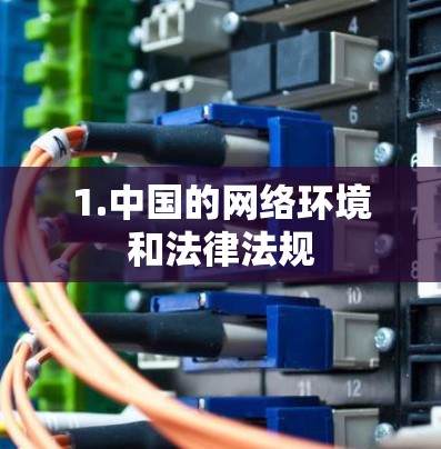 1.中国的网络环境和法律法规