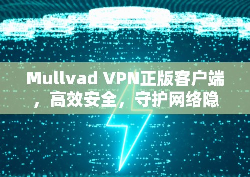 Mullvad VPN正版客户端,高效安全,守护网络隐私