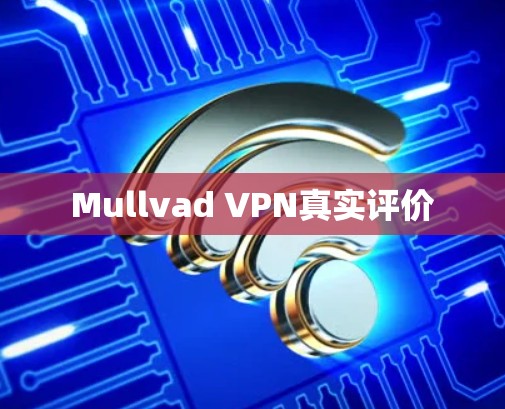 Mullvad VPN真实评价 Mullvad VPN真实评价