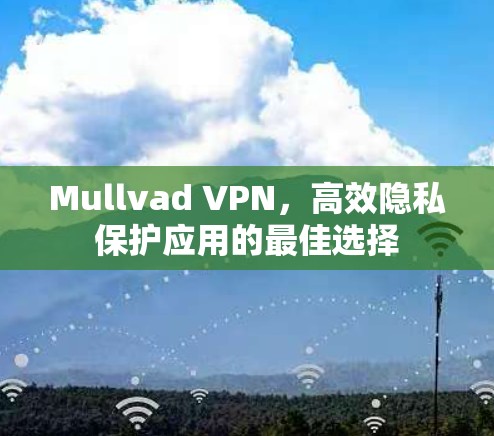 Mullvad VPN，高效隐私保护应用的最佳选择